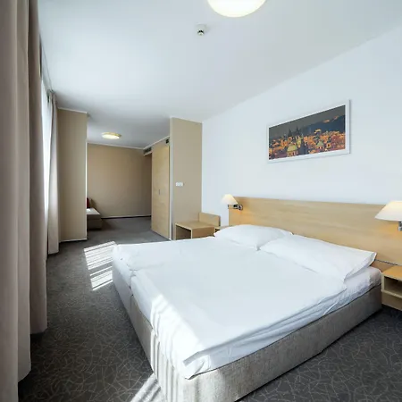 Hotel Ehrlich Praga