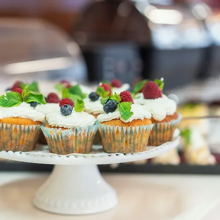 Ehrlich Ξενοδοχείο Πράγα